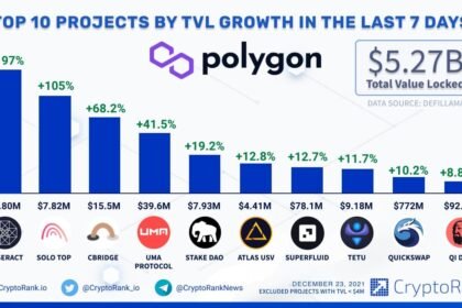 Tokenomics Polygon (MATIC): Layer-2 yang Menjanjikan