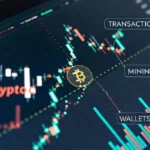 Cara Memilih Platform Trading Kripto agar Tidak Rugi